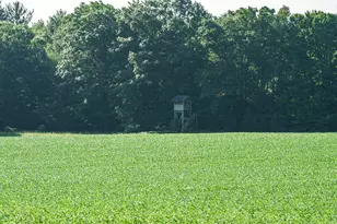 [Address not provided], Grant, MI 49327 - Photo 58