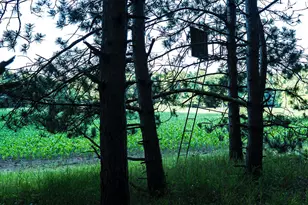 [Address not provided], Grant, MI 49327 - Photo 46
