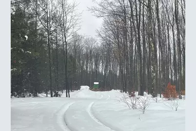 20350 Lindy Road, Copemish, MI 49625 - Photo 14