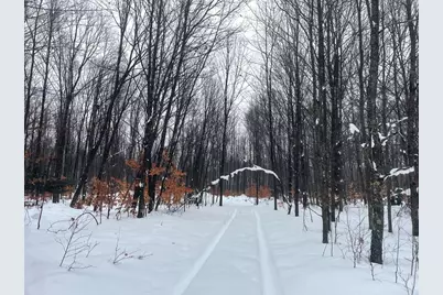 20350 Lindy Road, Copemish, MI 49625 - Photo 8