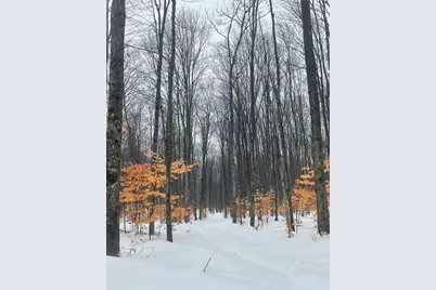 20350 Lindy Road, Copemish, MI 49625 - Photo 12