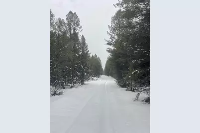 20350 Lindy Road, Copemish, MI 49625 - Photo 2