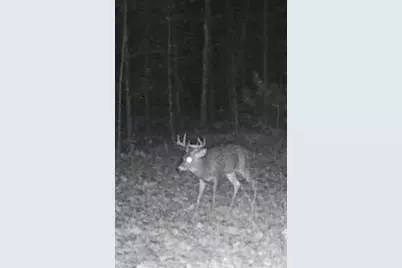 20350 Lindy Road, Copemish, MI 49625 - Photo 16