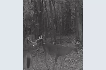 20350 Lindy Road, Copemish, MI 49625 - Photo 18