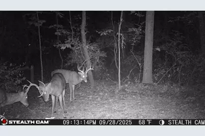 6771 Juneview Court NE, Rockford, MI 49341 - Photo 54