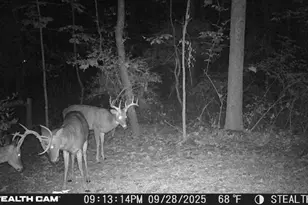 6771 Juneview Ct NE, Rockford, MI 49341 - Photo 54