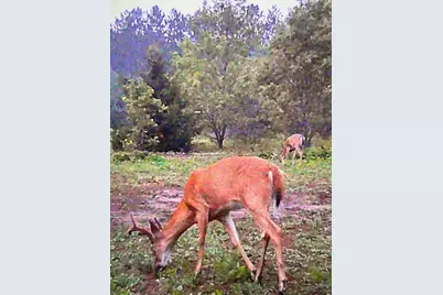 2554 Lee Derrer Road, Mancelona, MI 49659 - Photo 8