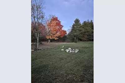 2554 Lee Derrer Road, Mancelona, MI 49659 - Photo 16