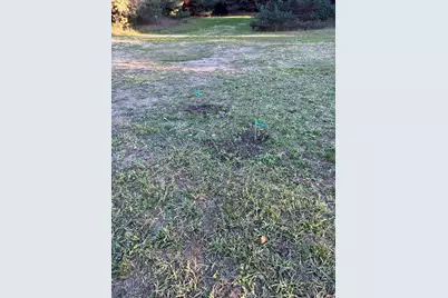 2554 Lee Derrer Road, Mancelona, MI 49659 - Photo 26