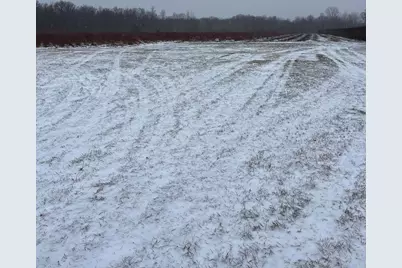 6892 56th Street, Grand Junction, MI 49056 - Photo 2