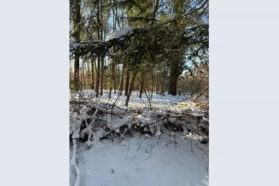 30 E Stanton Road, Stanton, MI 48888 - Photo 8