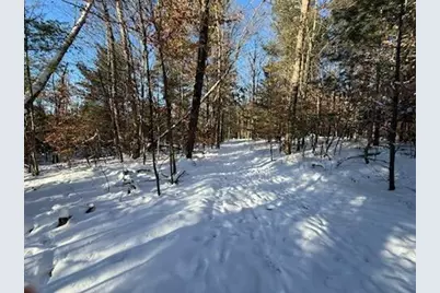 30 E Stanton Road, Stanton, MI 48888 - Photo 12