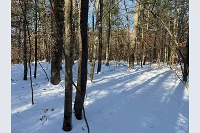 30 E Stanton Road, Stanton, MI 48888 - Photo 10