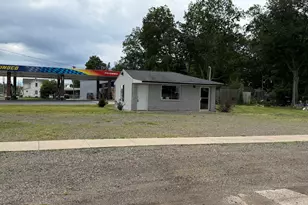 102 N Lincoln Ave, Three Rivers, MI 49093 - Photo 1