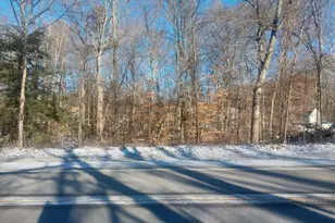 Lot B 142nd Ave, Dorr, MI 49323 - Photo 1