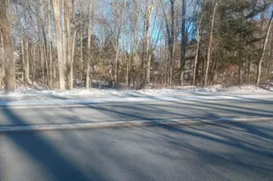 Lots A&b 142nd Ave, Dorr, MI 49323 - Photo 1