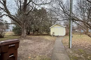 316 N Park St, Ovid, MI 48866 - Photo 10