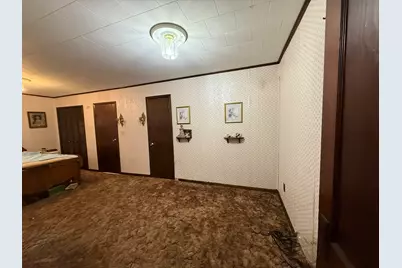 316 N Park Street, Ovid, MI 48866 - Photo 28