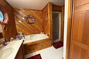 316 N Park St, Ovid, MI 48866 - Photo 34