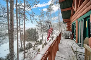 169 Pine Hill Lake Dr, Horton, MI 49246 - Photo 54