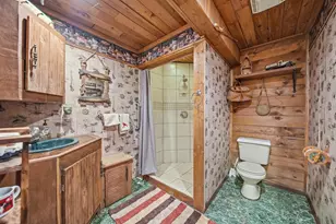 169 Pine Hill Lake Dr, Horton, MI 49246 - Photo 40