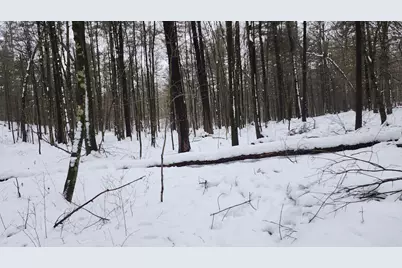 6908 E 18th Street, White Cloud, MI 49349 - Photo 4