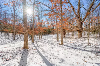 3285 Mineral Springs Trail, Mount Pleasant, MI 48858 - Photo 10