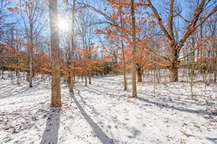 3285 Mineral Springs Trail, Mount Pleasant, MI 48858 - Photo 10