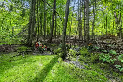 1115 Gobblers Knob Road, Boyne City, MI 49712 - Photo 24