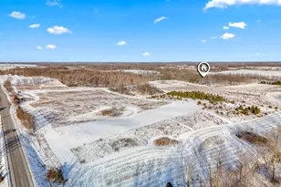 10001 Pioneer Rd, Osseo, MI 49266 - Photo 6