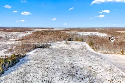 10001 Pioneer Road, Osseo, MI 49266 - Photo 16