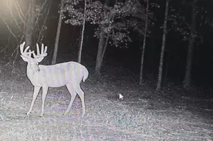 10001 Pioneer Rd, Osseo, MI 49266 - Photo 8