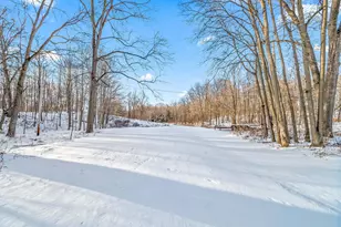 10001 Pioneer Rd, Osseo, MI 49266 - Photo 26