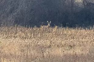 10001 Pioneer Rd, Osseo, MI 49266 - Photo 70