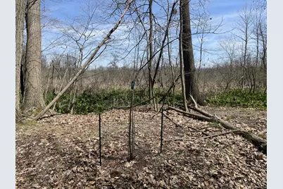 S 1st Street, Schoolcraft, MI 49087 - Photo 14