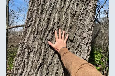 S 1st Street, Schoolcraft, MI 49087 - Photo 16