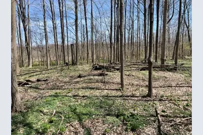 S 1st Street, Schoolcraft, MI 49087 - Photo 26