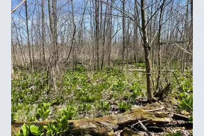 S 1st Street, Schoolcraft, MI 49087 - Photo 20