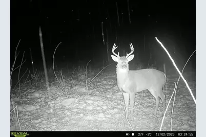 5111 Reading Road E, Osseo, MI 49266 - Photo 6