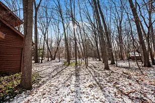 3719 West St, Ann Arbor, MI 48103 - Photo 30