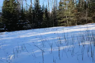 1710 Miller Rd, Lincoln, MI 48742 - Photo 54