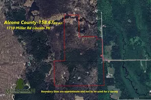 1710 Miller Rd, Lincoln, MI 48742 - Photo 4