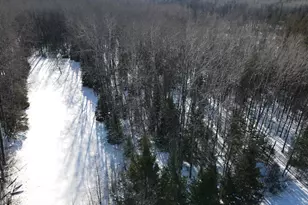 1710 Miller Rd, Lincoln, MI 48742 - Photo 30