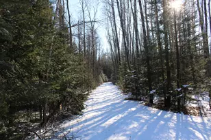 1710 Miller Rd, Lincoln, MI 48742 - Photo 44