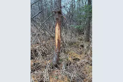 1710 Miller Road, Lincoln, MI 48742 - Photo 58