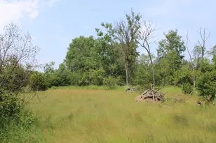 1710 Miller Rd, Lincoln, MI 48742 - Photo 56