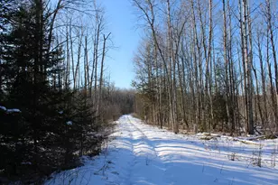 1710 Miller Rd, Lincoln, MI 48742 - Photo 46