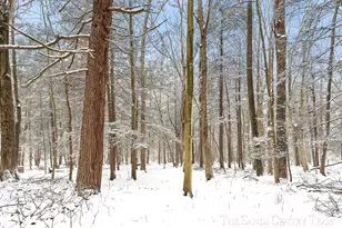 12893 112th Ave, Grand Haven, MI 49417 - Photo 58