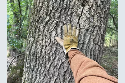 V/L 56th Avenue, Paw Paw, MI 49079 - Photo 32