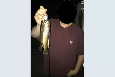 V/L 56th Avenue, Paw Paw, MI 49079 - Photo 4